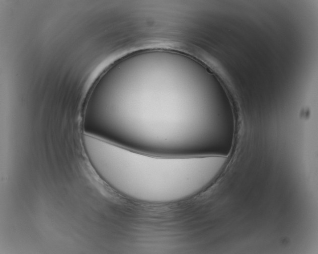 X0000112091332200908041039