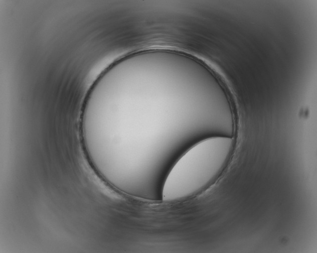 X0000112091333200908041039