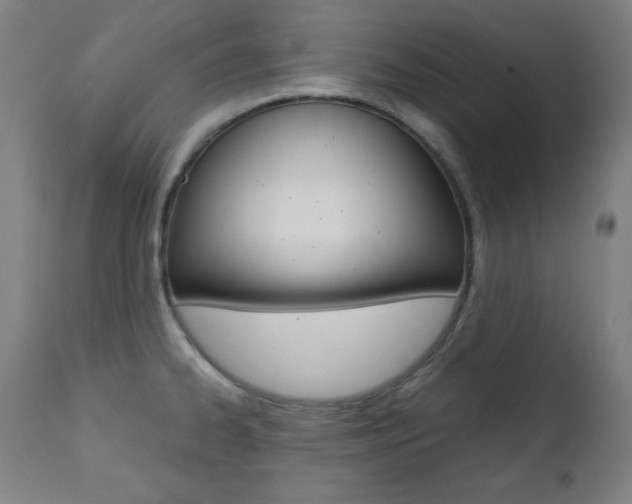 X0000112091334200908041039