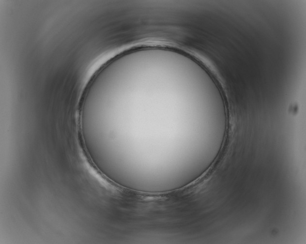 X0000112091335200908041039