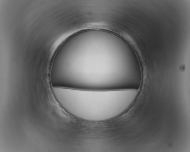X0000112091336200908041039