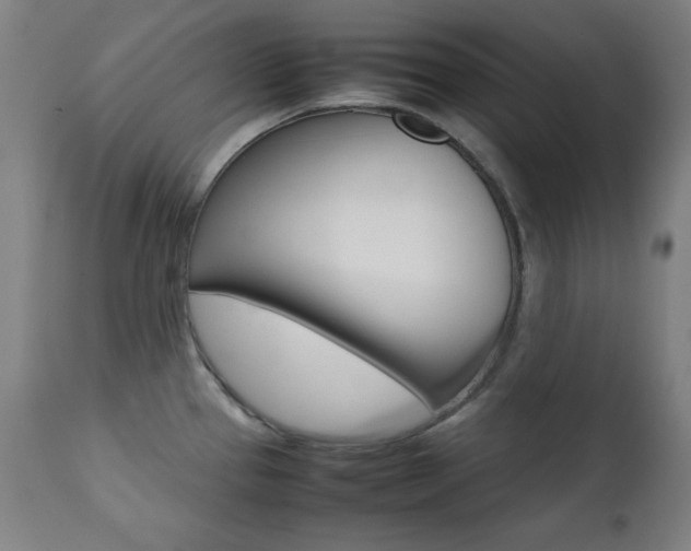 X0000112091337200908041039