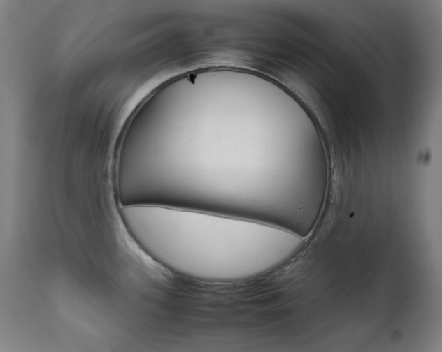 X0000112091339200908041039