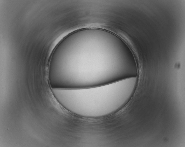 X0000112091340200908041039