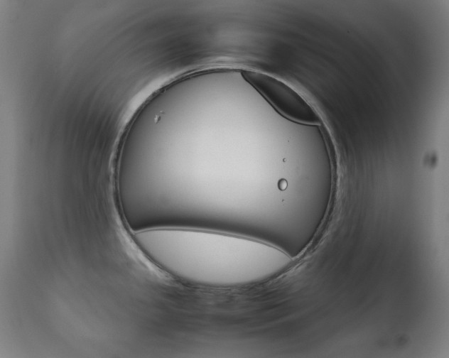 X0000112091341200908041039