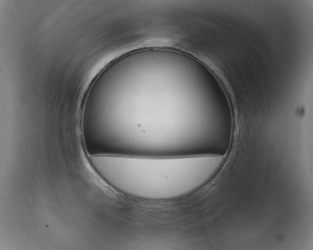 X0000112091342200908041039