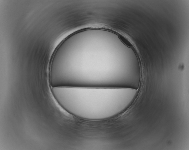 X0000112091343200908041039