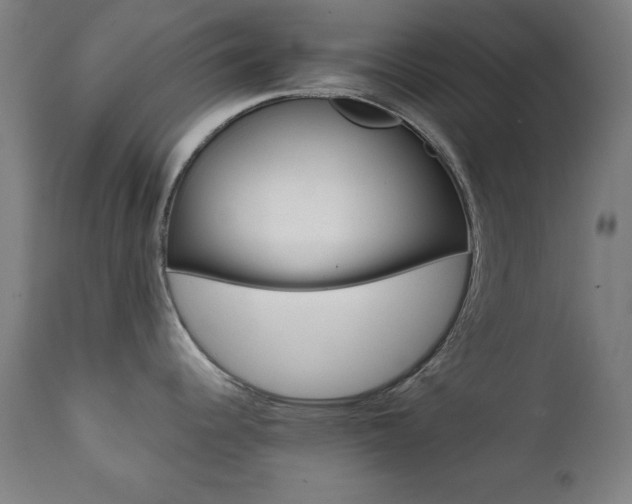 X0000112091344200908041039