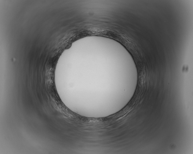 X0000112091346200908041038
