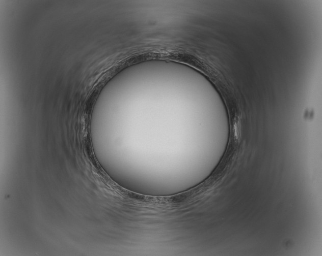 X0000112091347200908041038