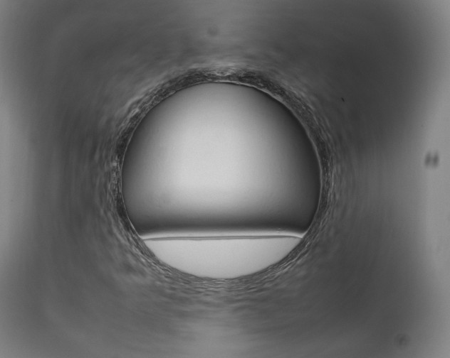X0000112091349200908041038