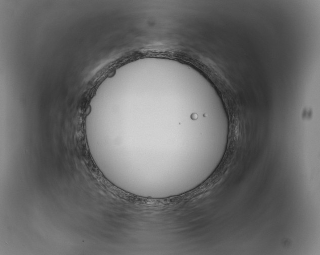 X0000112091350200908041038