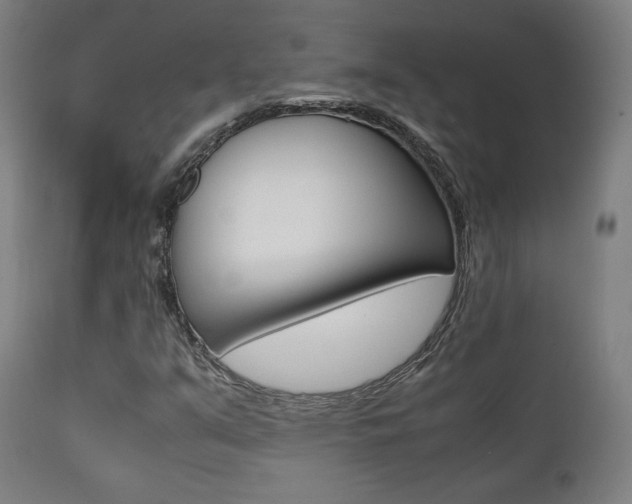 X0000112091351200908041038