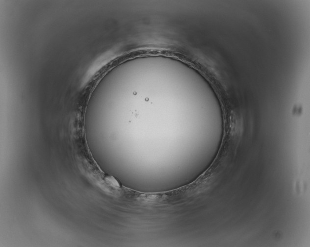 X0000112091352200908041038