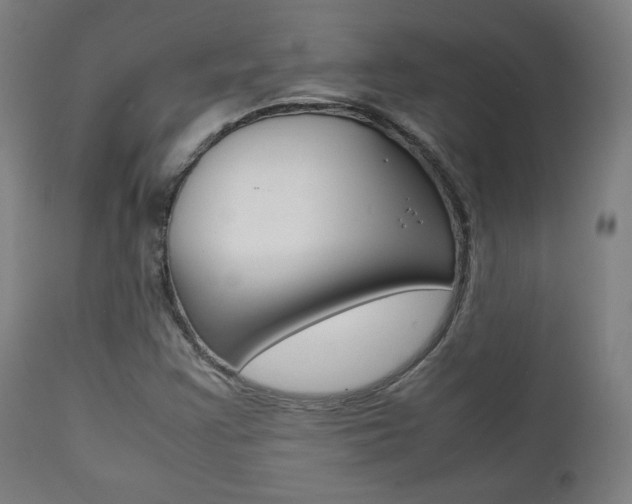 X0000112091355200908041038