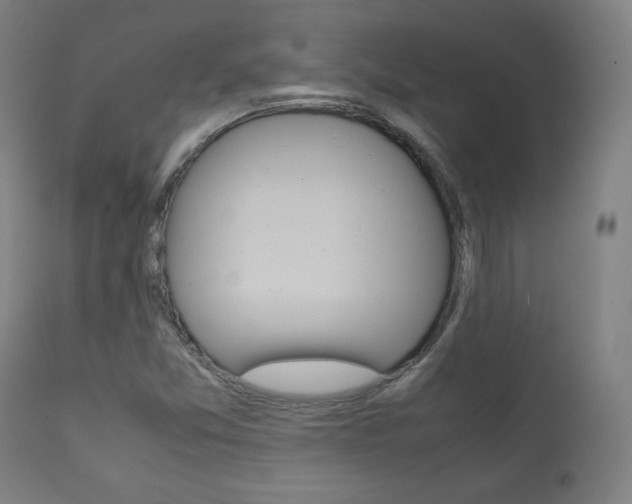 X0000112091357200908041038