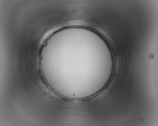 X0000112091358200908041038