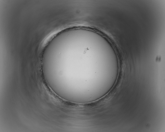 X0000112091359200908041038