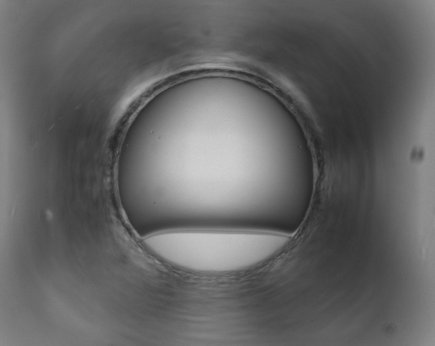 X0000112091360200908041038