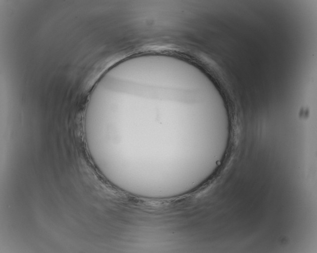 X0000112091361200908041038