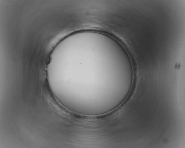 X0000112091363200908041038