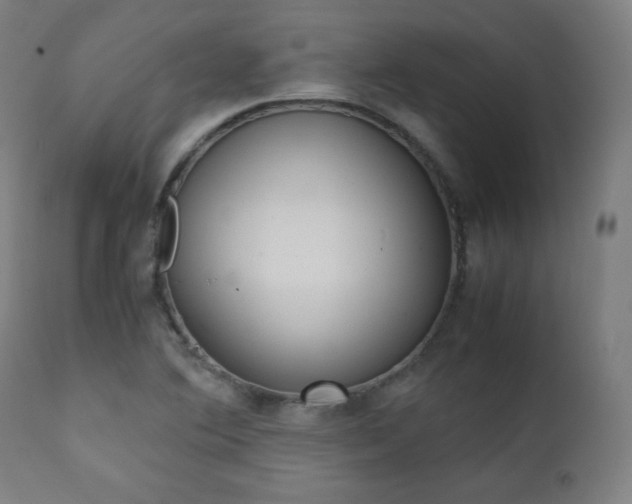 X0000112091364200908041038