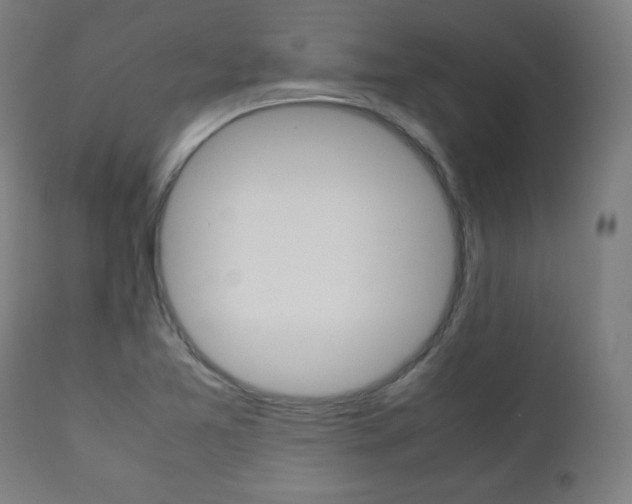 X0000112091365200908041038