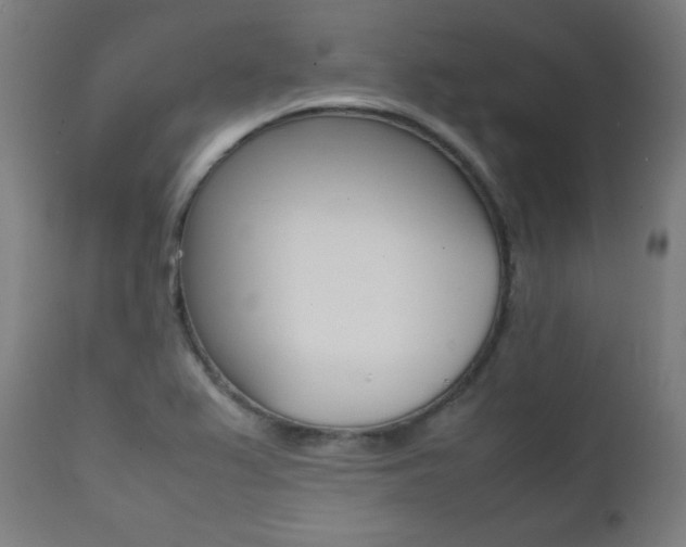 X0000112091367200908041038