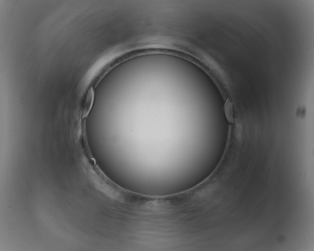 X0000112091368200908041038