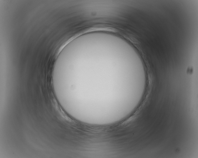 X0000112091369200908041038
