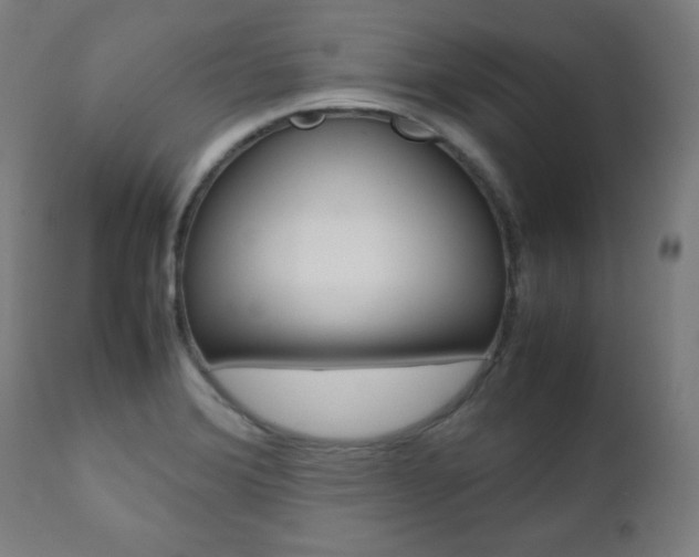 X0000112091372200908041038