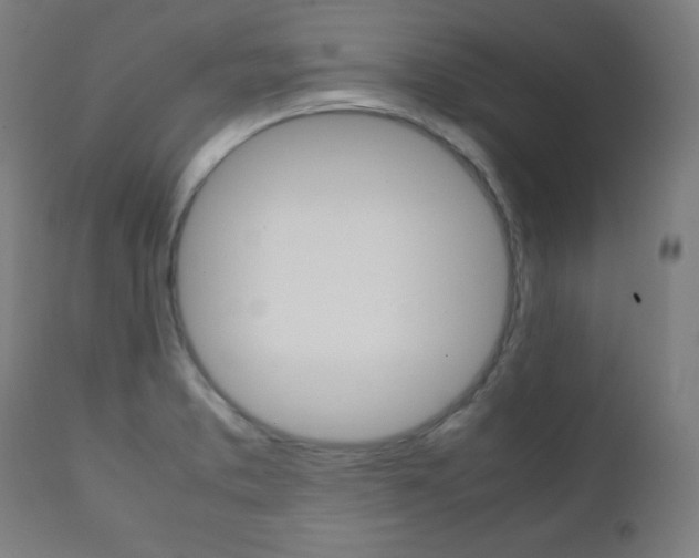 X0000112091373200908041038