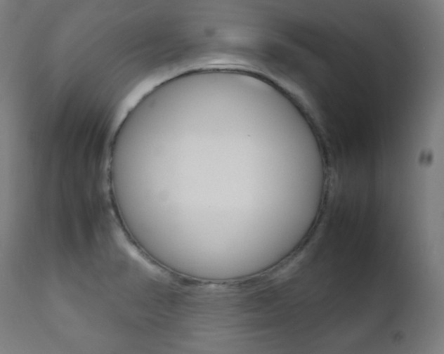 X0000112091374200908041038