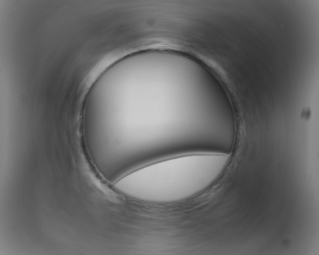 X0000112091375200908041038