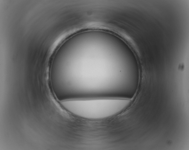X0000112091376200908041038