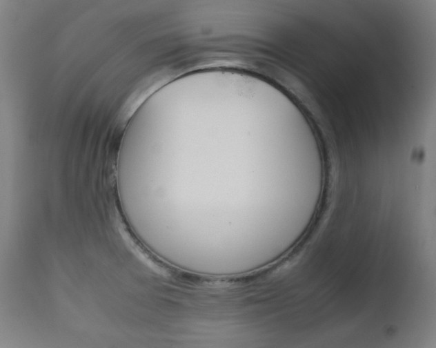 X0000112091377200908041038