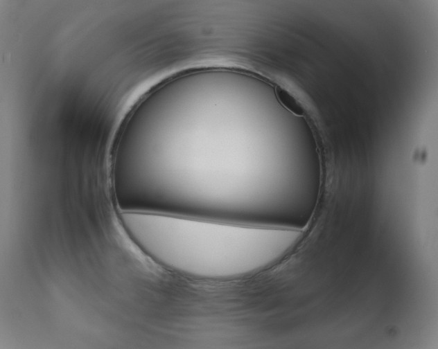 X0000112091380200908041038