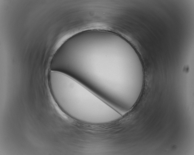 X0000112091383200908041038