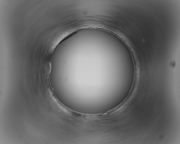X0000112091385200908041038