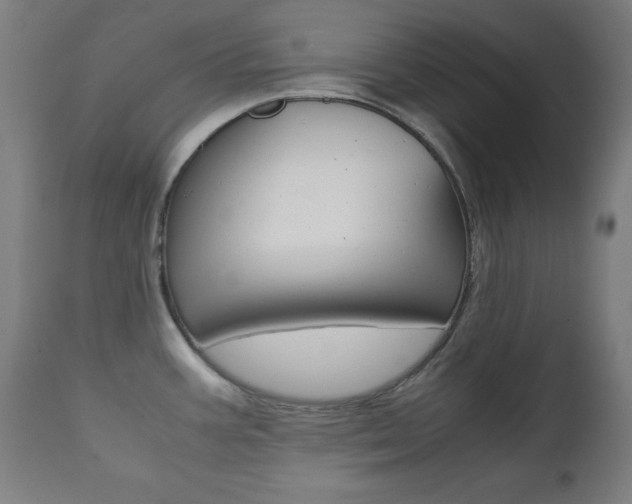 X0000112091387200908041038