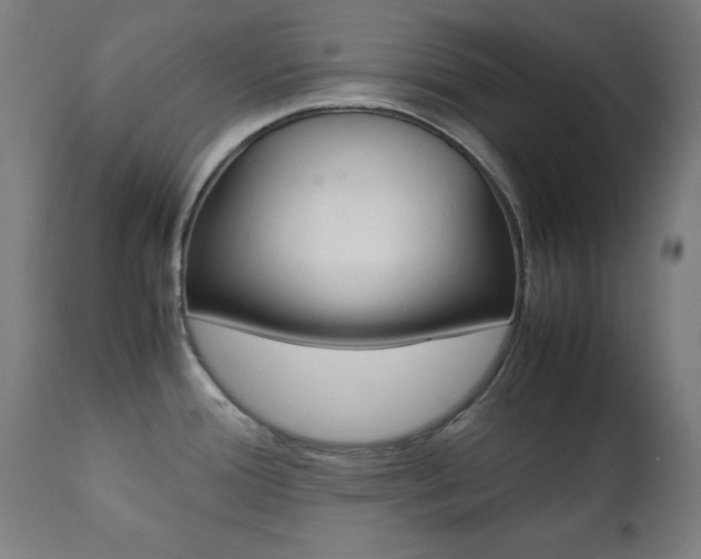 X0000112091388200908041038