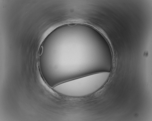 X0000112091389200908041038