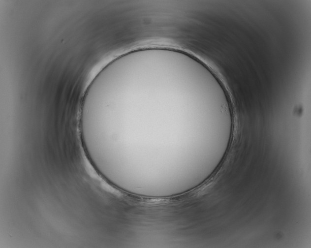 X0000112091390200908041038