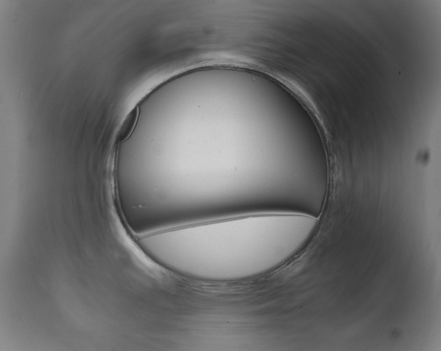 X0000112091391200908041038