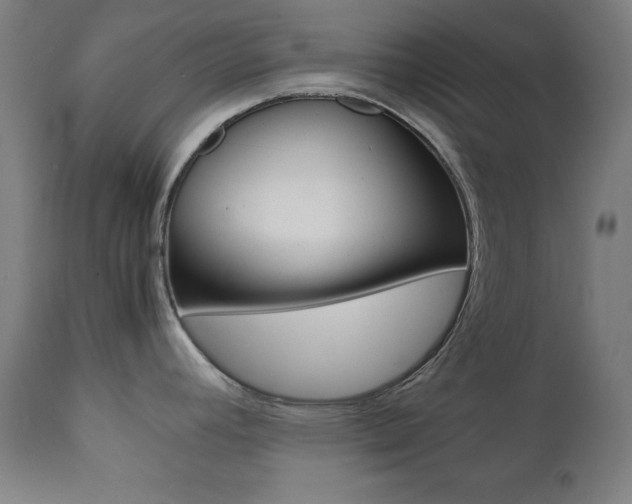 X0000112091392200908041038