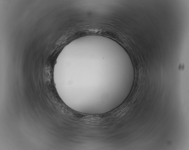 X0000112091394200908041037