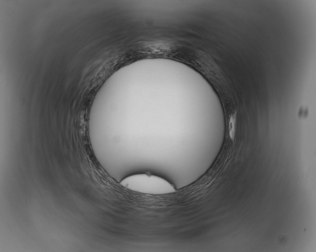X0000112091395200908041037