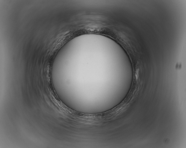 X0000112091396200908041037