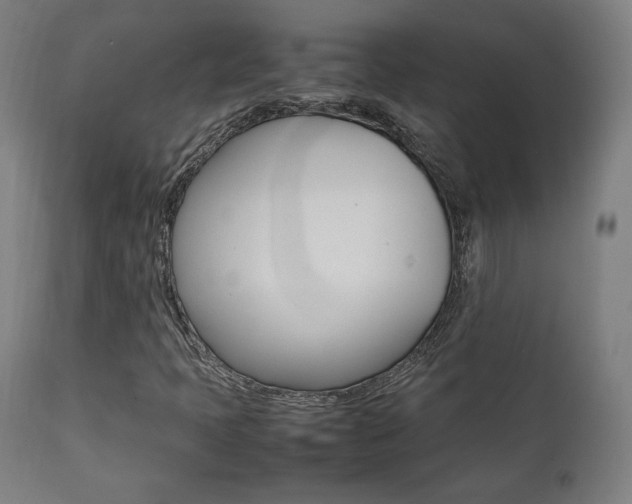 X0000112091397200908041037