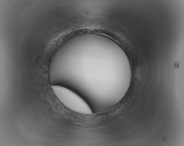 X0000112091398200908041037